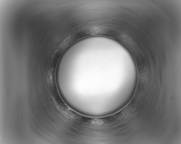 X0000064050214200602101459