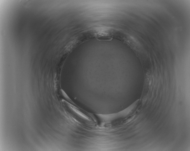 X0000064050223200602101459