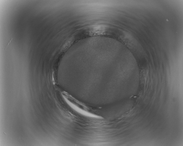X0000064050224200602101459