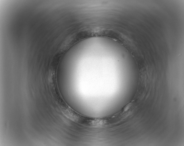 X0000064050225200602101459