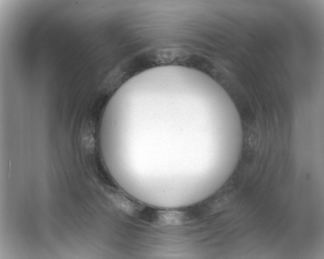 X0000064050226200602101459
