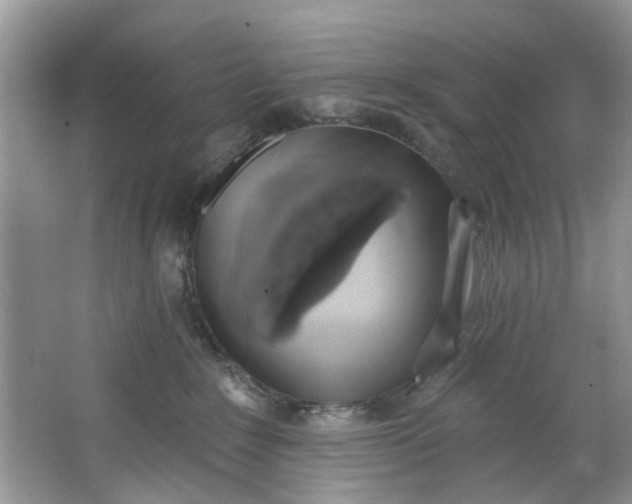X0000064050235200602101458