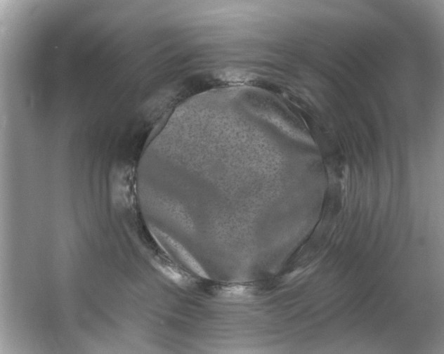 X0000064050237200602101458
