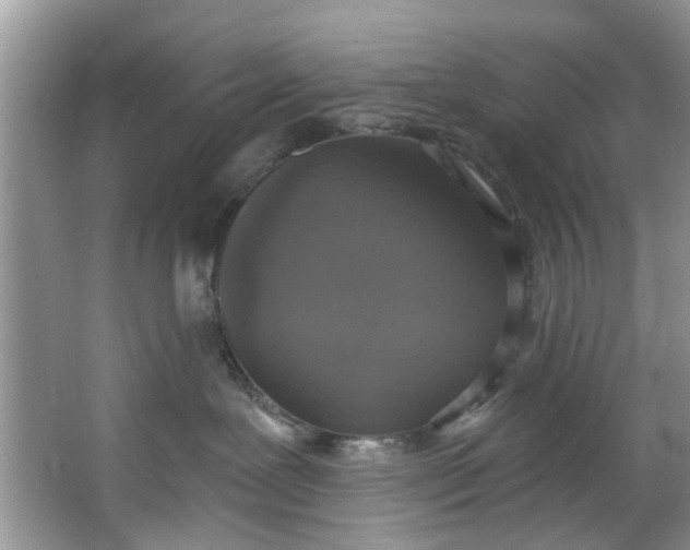 X0000064050239200602101458