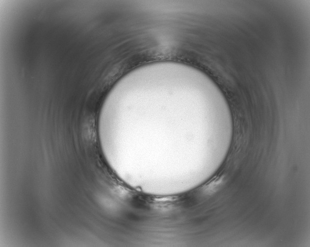 X0000064050240200602101458