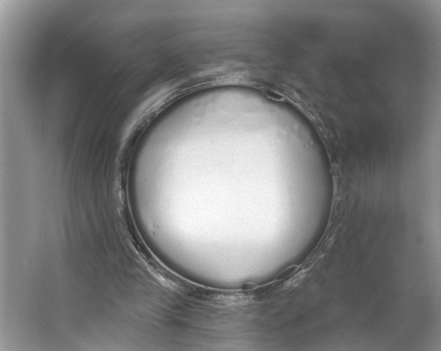 X0000064050245200602101458