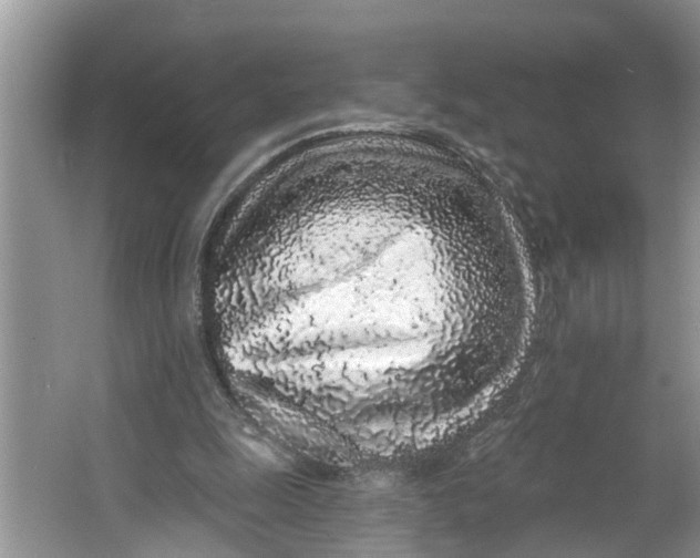 X0000064050247200602101458