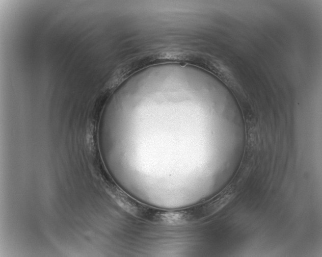 X0000064050265200602101458
