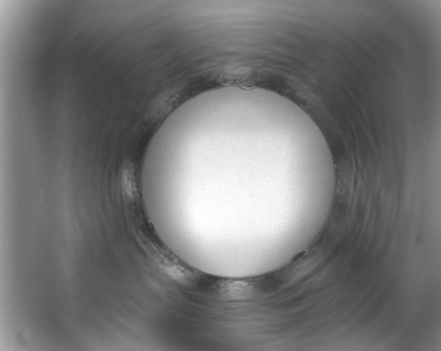 X0000064050287200602101458