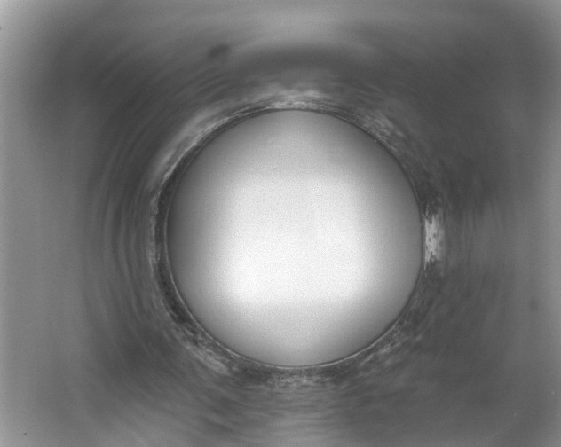 X0000064050291200602101457