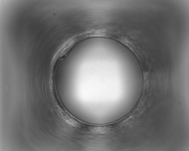 X0000064050293200602101457