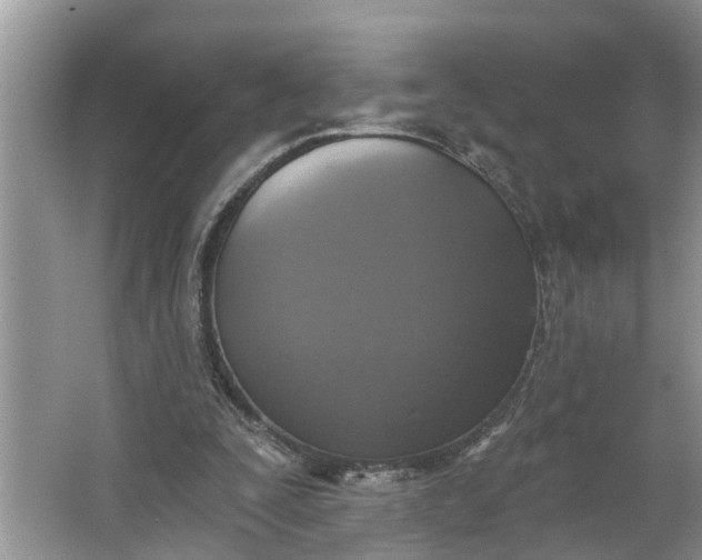 X0000064050295200602101457