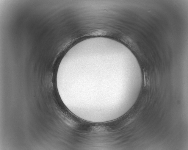 X0000064050300200602101457