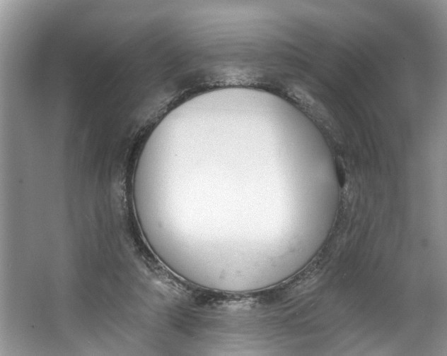 X0000064050306200602101457