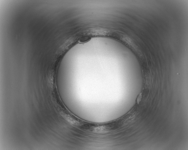 X0000064050309200602101457
