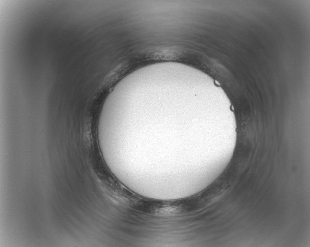 X0000064050312200602101457