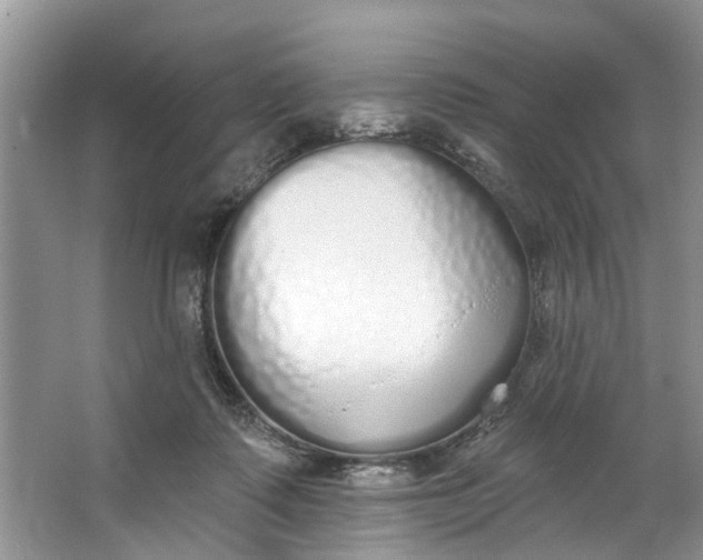 X0000064050315200602101457