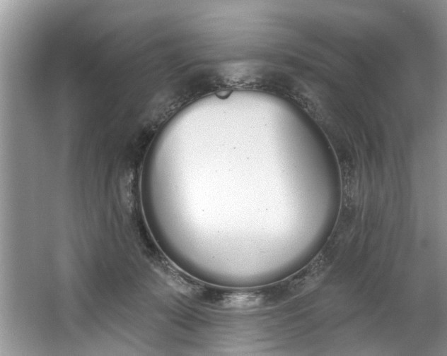 X0000064050319200602101457