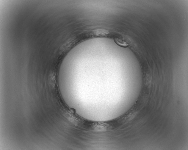 X0000064050321200602101457