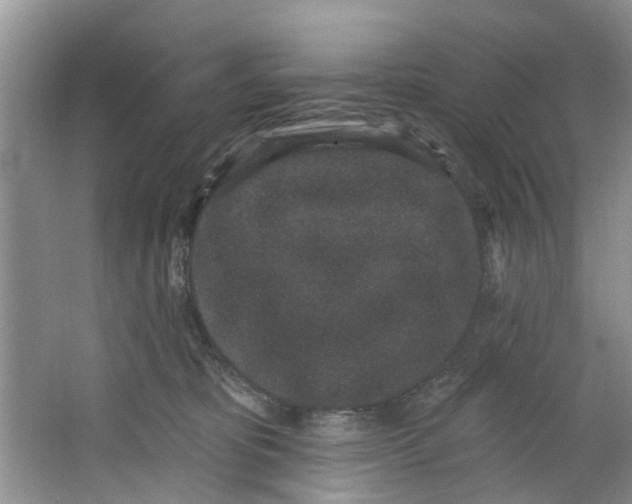 X0000064050325200602101457