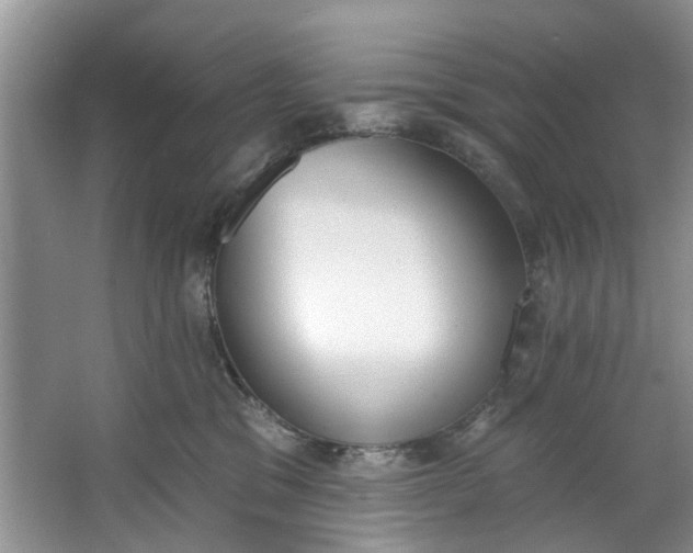 X0000064050329200602101457