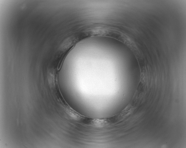X0000064050333200602101457