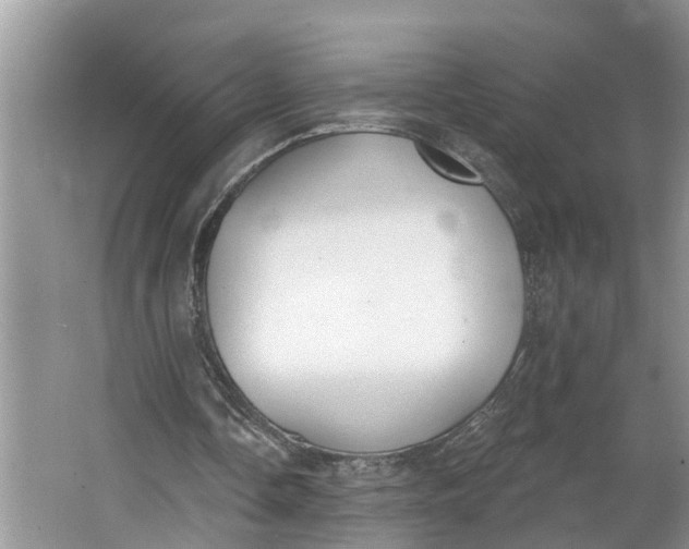 X0000064050338200602101456