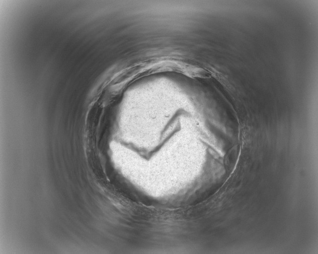X0000064050339200602101456