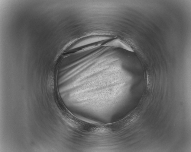 X0000064050348200602101456