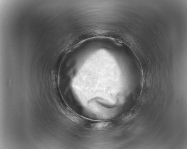X0000064050366200602101456