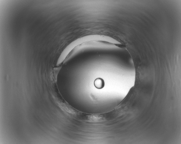 X0000064050380200602101457