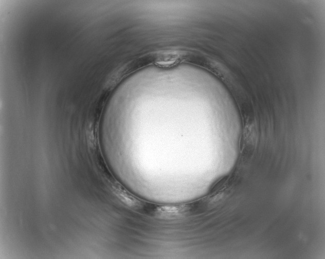 X0000064050381200602101457