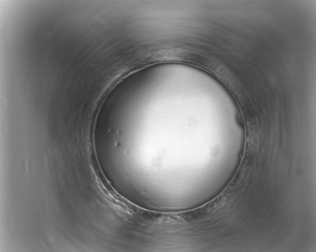 X0000064050386200602101456