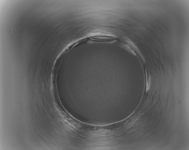 X0000064050387200602101456