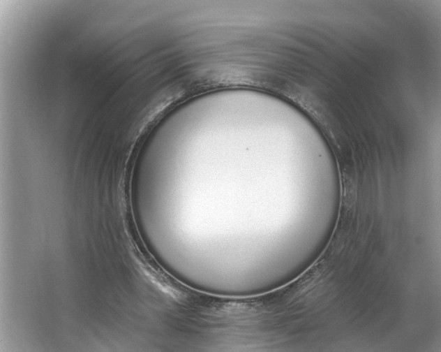 X0000064050390200602101456