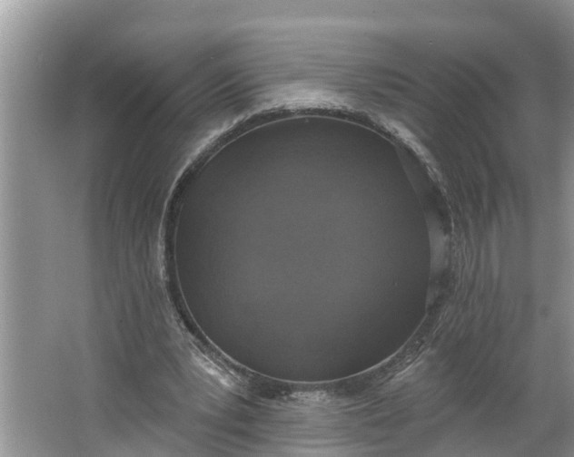 X0000064050391200602101456