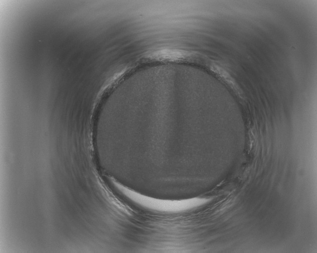 X0000064050399200602101456