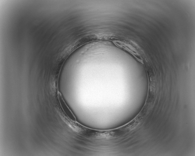 X0000064050405200602101456
