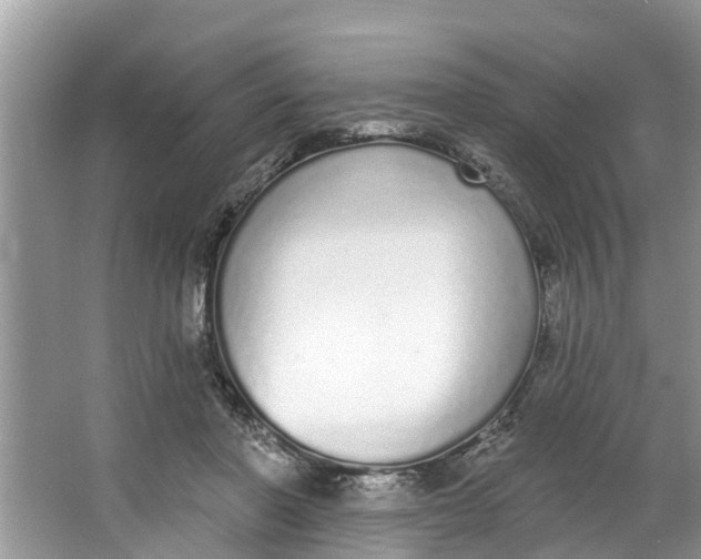X0000064050406200602101456