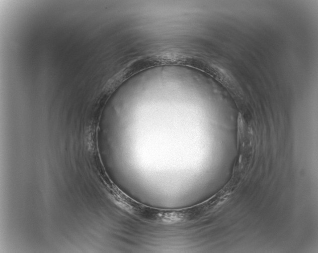 X0000064050409200602101456