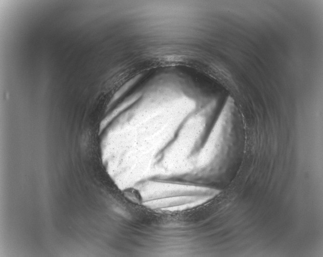X0000064050410200602101455