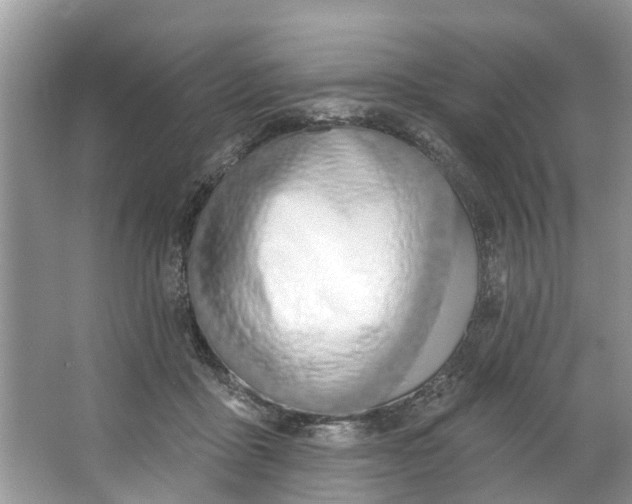 X0000064050411200602101455