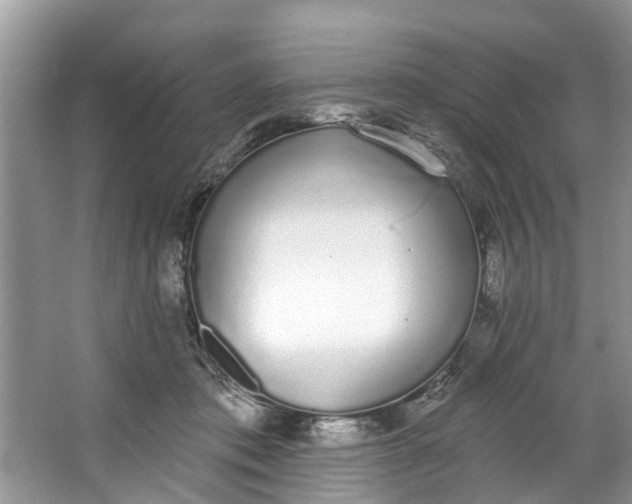 X0000064050413200602101455