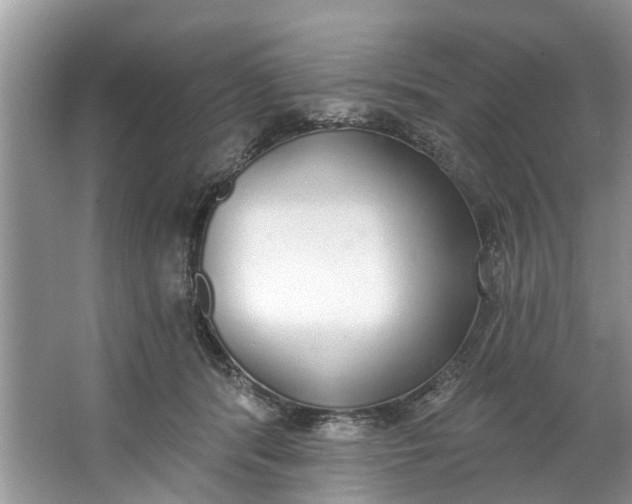 X0000064050416200602101455