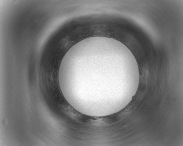 X0000064050430200602101455