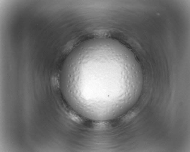 X0000064050432200602101455