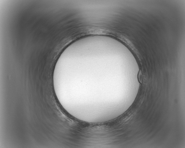 X0000064050433200602101454
