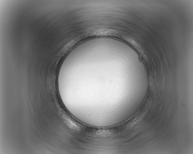 X0000064050445200602101455