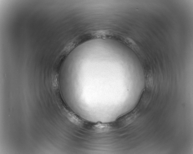 X0000064050477200602101455