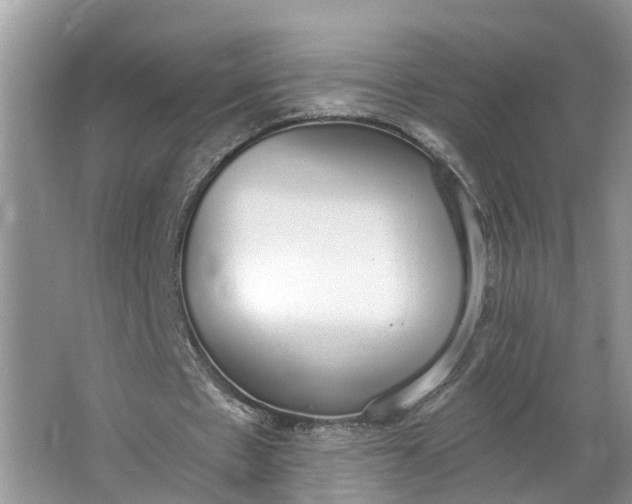 X0000064050481200602101454